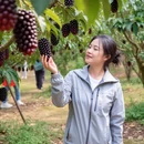 万宁旅游 缩略图 3