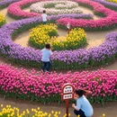 郑州旅游 缩略图 3