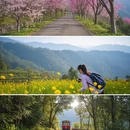 台北旅游 缩略图 6