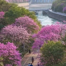 成都旅游 缩略图 2