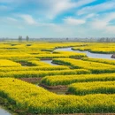 泰州旅游 缩略图 9
