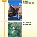 厦门旅游 缩略图 3