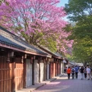 成都旅游 缩略图 5