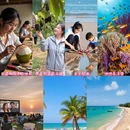 万宁旅游 缩略图 1
