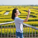 泰州旅游 缩略图 3