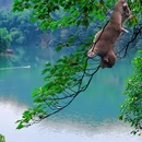 乐山旅游 缩略图 9