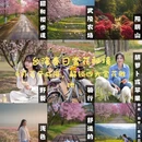 台北旅游 缩略图 1