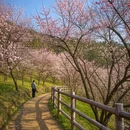 宿州旅游 缩略图 10