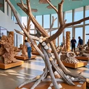 惠州旅游 缩略图 5