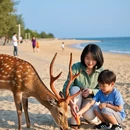 惠州旅游 缩略图 4