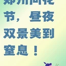 郑州旅游 缩略图 1
