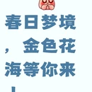 泰州旅游 缩略图 1