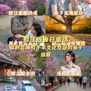 成都旅游 缩略图 1
