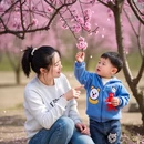 阿坝旅游 缩略图 4