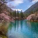 阿坝旅游 缩略图 8