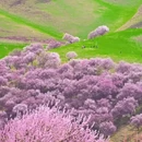 伊犁旅游 缩略图 2