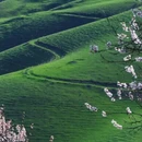 伊犁旅游 缩略图 3