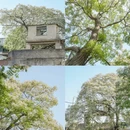 福州旅游 缩略图 1