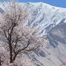 喀什地区旅游 缩略图 5