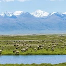 伊犁旅游 缩略图 5