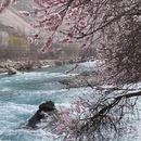 喀什地区旅游 缩略图 1