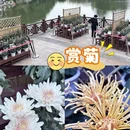 漳州旅游 缩略图 2