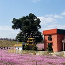 漳州旅游 缩略图 2