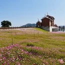 漳州旅游 缩略图 4