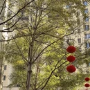 福州旅游 缩略图 4