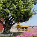 漳州旅游 缩略图 9