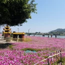 漳州旅游 缩略图 10