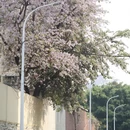 漳州旅游 缩略图 1
