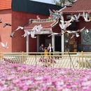 漳州旅游 缩略图 3