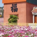 漳州旅游 缩略图 4