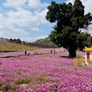 漳州旅游 缩略图 1