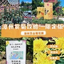 漳州旅游 缩略图 1