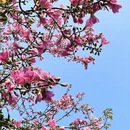 泉州旅游 缩略图 7