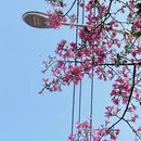 泉州旅游 缩略图 8