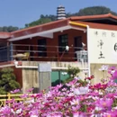 漳州旅游 缩略图 7