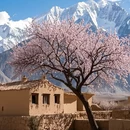 喀什地区旅游 缩略图 3