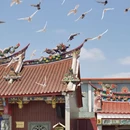 漳州旅游 缩略图 8