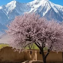 喀什地区旅游 缩略图 4