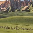 喀什地区旅游 缩略图 16
