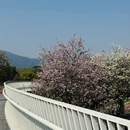 漳州旅游 缩略图 12