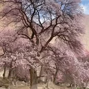 喀什地区旅游 缩略图 4