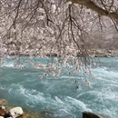 喀什地区旅游 缩略图 5
