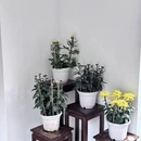 漳州旅游 缩略图 6