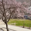 喀什地区旅游 缩略图 8