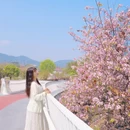 漳州旅游 缩略图 8