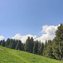 伊犁旅游 缩略图 10